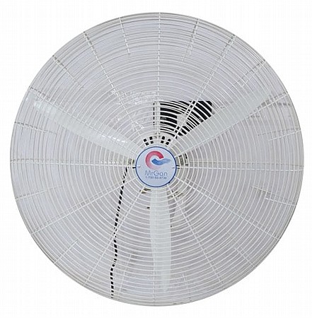 ������ ������� 26″ �� ����� ����� ��� ��� mrgan