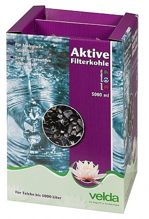 ACTIEF - ��� ���� ������