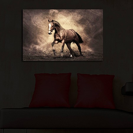 ����� ������ ���� �� ����� ��