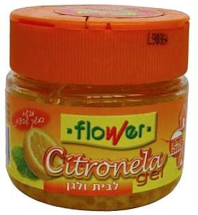 �'� �������� FLOWER - ���� ������