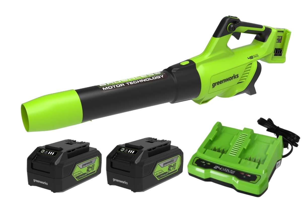 Greenworks 2X24V (48V) 16'' Chainsaw, (2) 4.0Ah Batteries & Charger In - Greenwo - Foto 2
