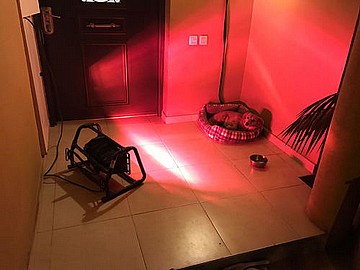 תנור חימום אינפרא אדום 1300W