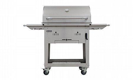 ���� �� ����� Bison