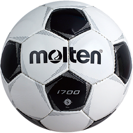 ������ ����� 4 ���� MOLTEN F4P1700