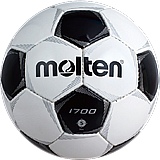 ������ ����� 4 ���� MOLTEN F4P1700