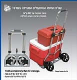 ���� ��� ������ W-80 