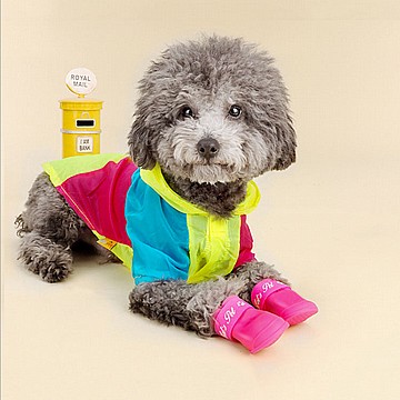 נעליים מגפיים לכלבים מסיליקון נגד גשם