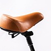 אופניים חשמליים מתקפלים City Premium – שלדה נמוכה
