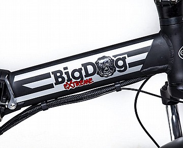אופניים חשמליים BIG DOG RoadStar GREENBIKE