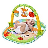���� ������ ������ 3 �-1 Gym Chicco